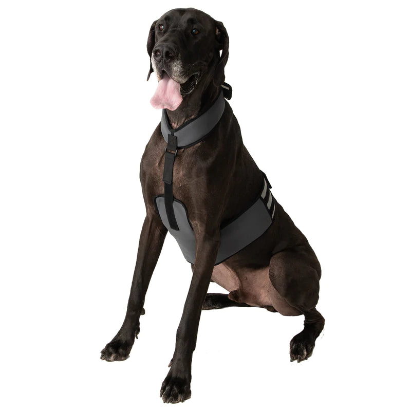 COOLEDOG DOG COOLING VEST AND COLLAR