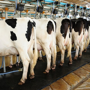 Produits pour fermes laitières