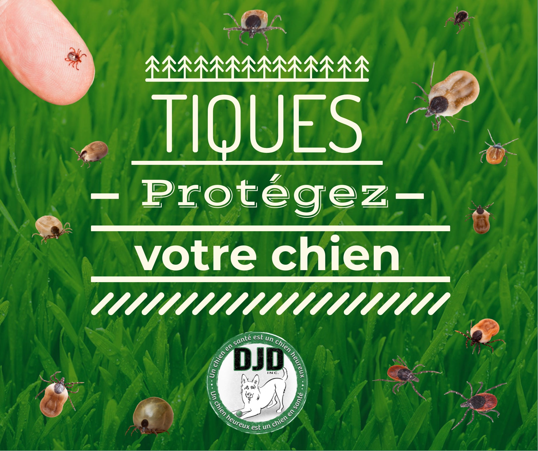 Prévention des tiques