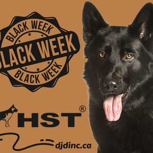 Black Week 2023