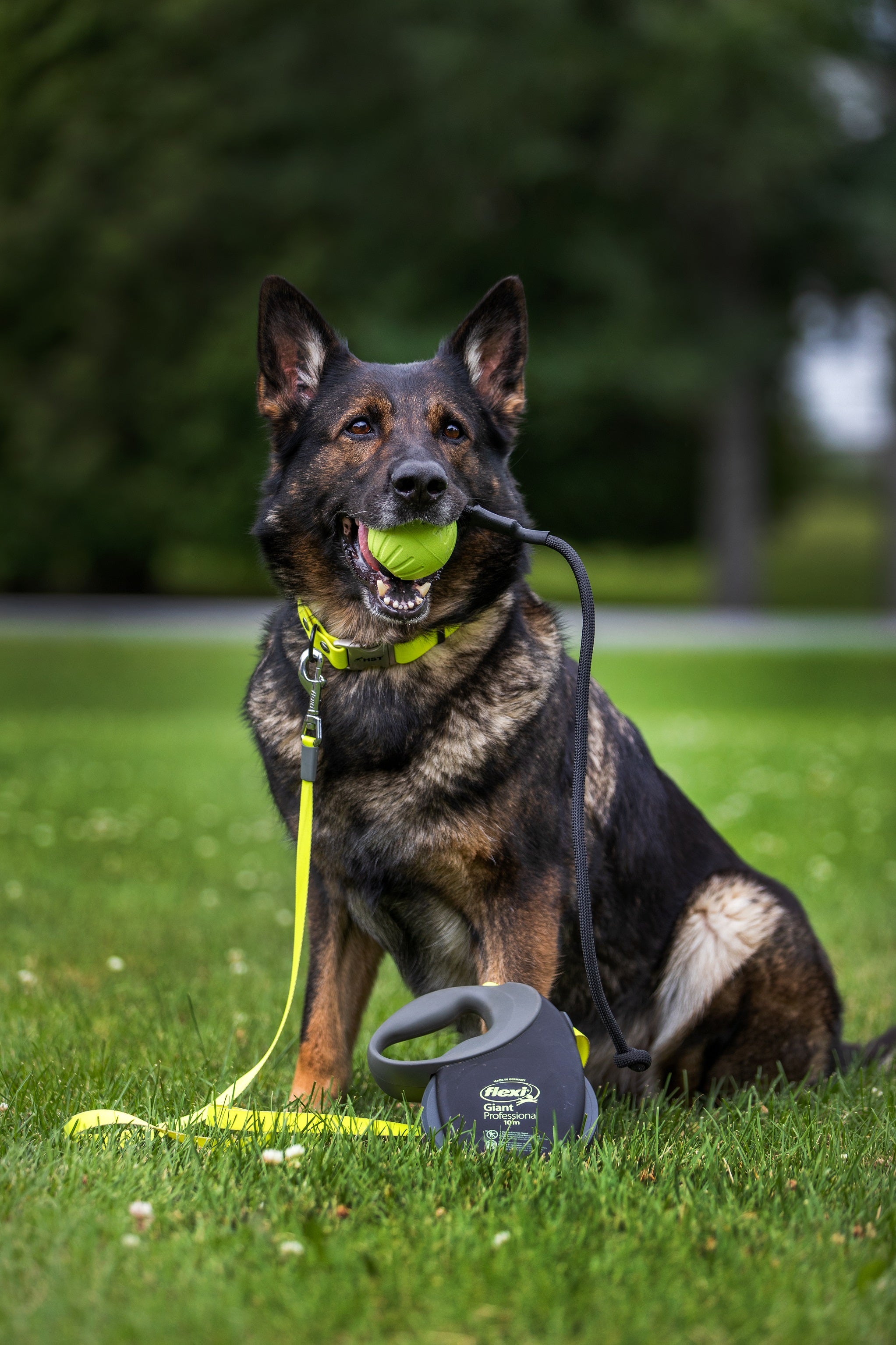 Schutzhund dog training store equipment