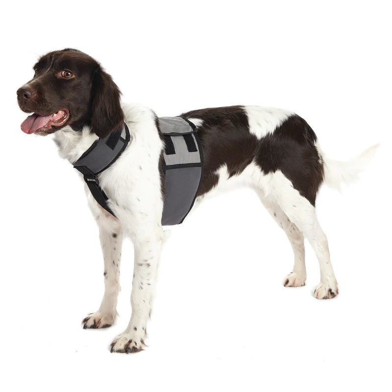 COOLEDOG DOG COOLING VEST AND COLLAR Distribution Jacques Dubuc Inc