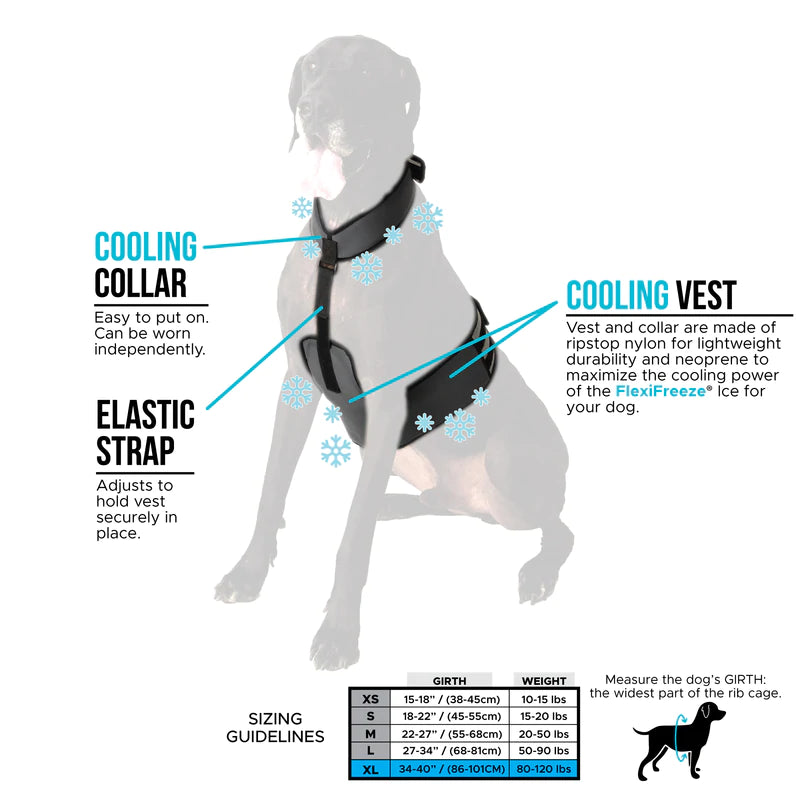 Cooling harness for dogs best sale